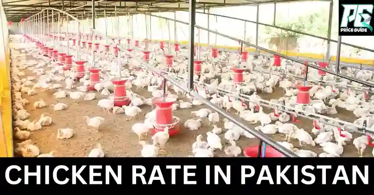 Chicken Rate Today in Pakistan